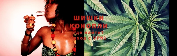 прущие грибы Алзамай