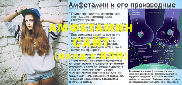 прущие грибы Алзамай