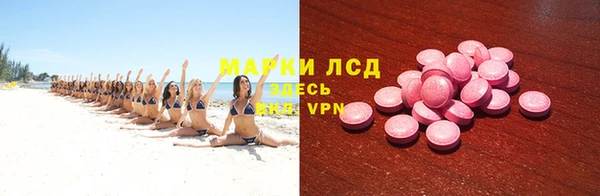 прущие грибы Алзамай