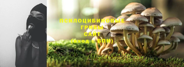 прущие грибы Алзамай