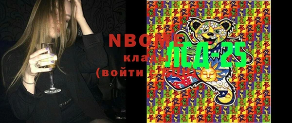 прущие грибы Алзамай